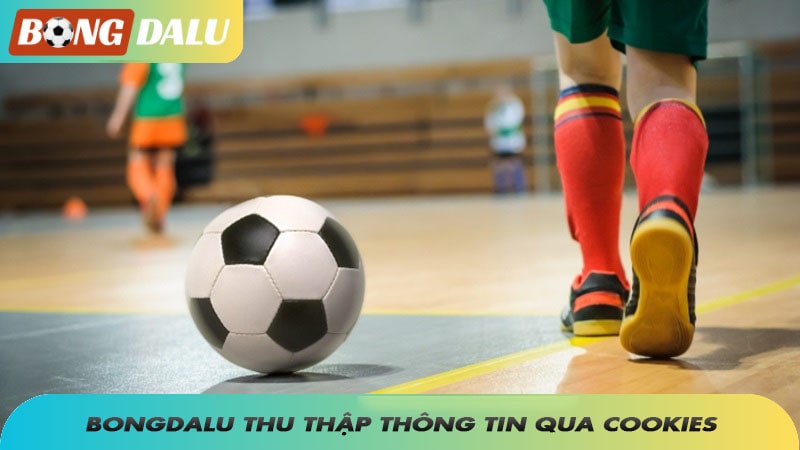 Bongdalu thu thập thông tin qua cookies để tăng trải nghiệm người dùng