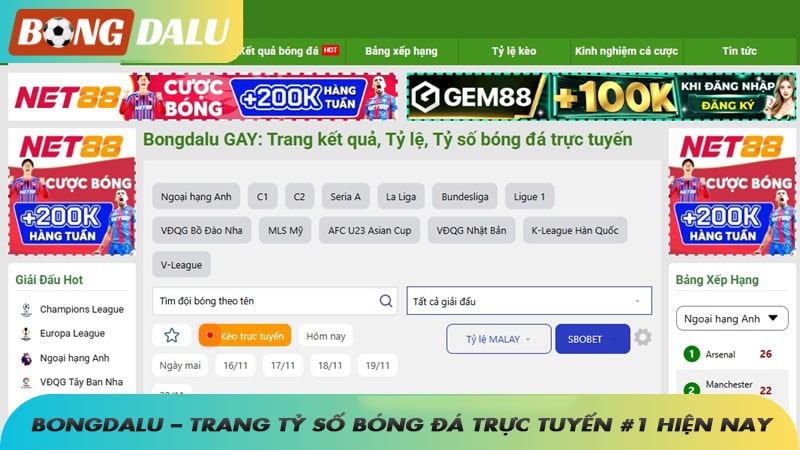 Bongdalu – Trang tỷ số bóng đá trực tuyến #1 hiện nay
