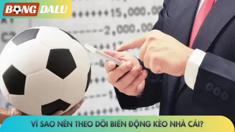 Vì sao nên theo dõi biến động kèo nhà cái?