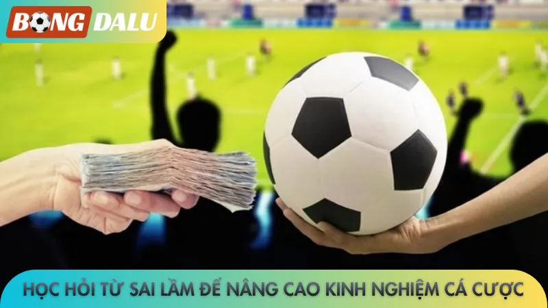 Học hỏi từ sai lầm để nâng cao kinh nghiệm cá cược