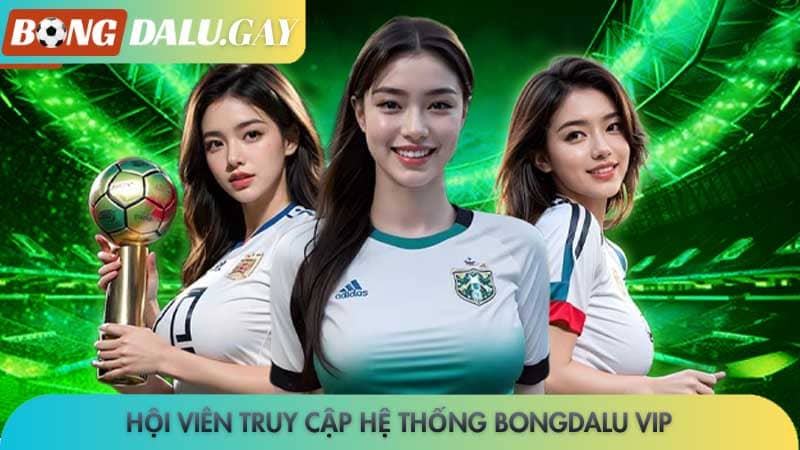 Hội viên truy cập hệ thống Bongdalu vip